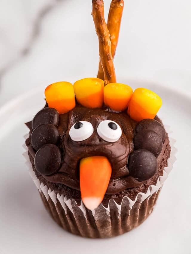 Close up photo of a completed Turkey Cupcake displayed on a white plate.