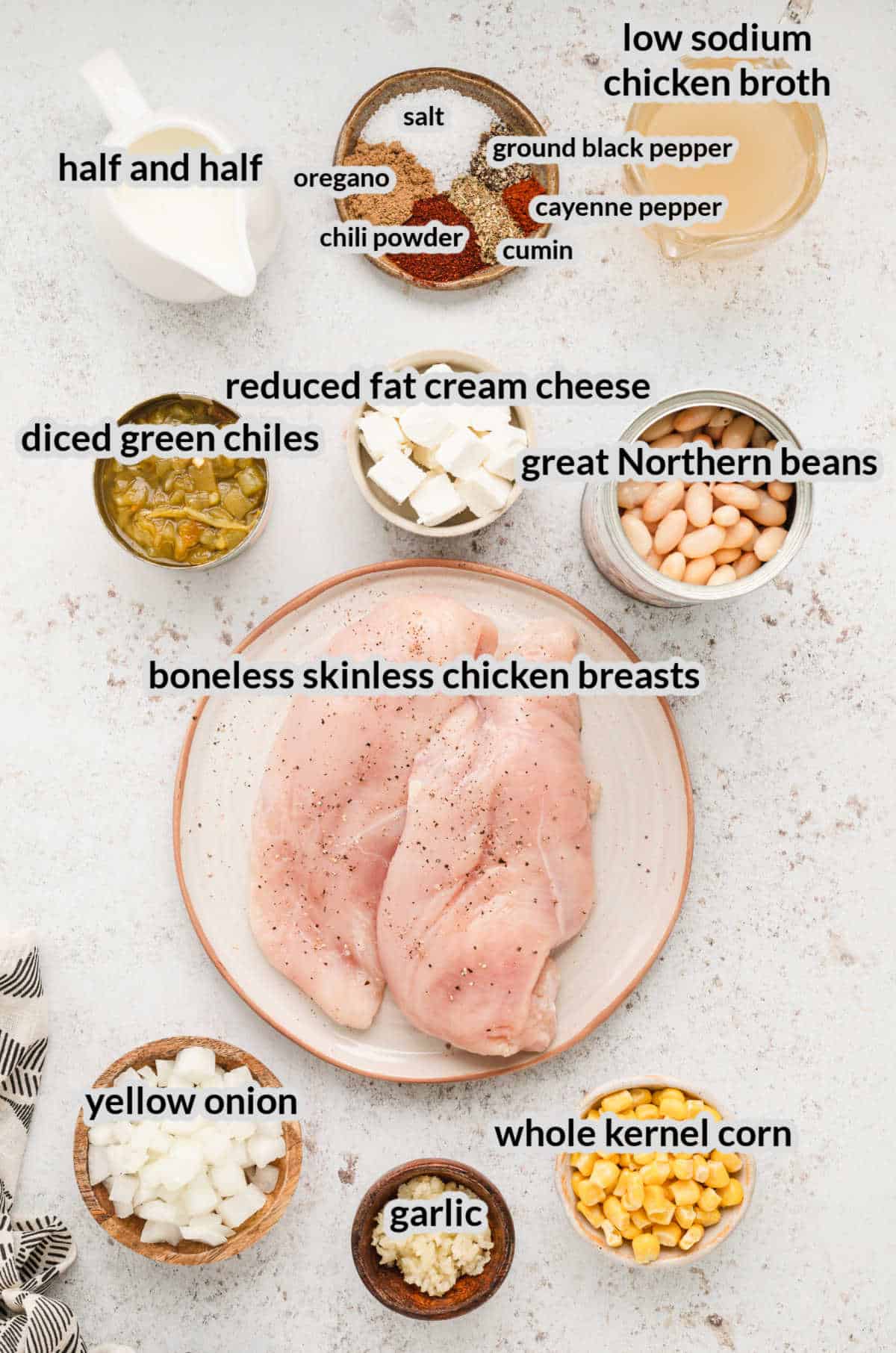 Overhead Image of Crock Pot White Chicken Chili Ingredients