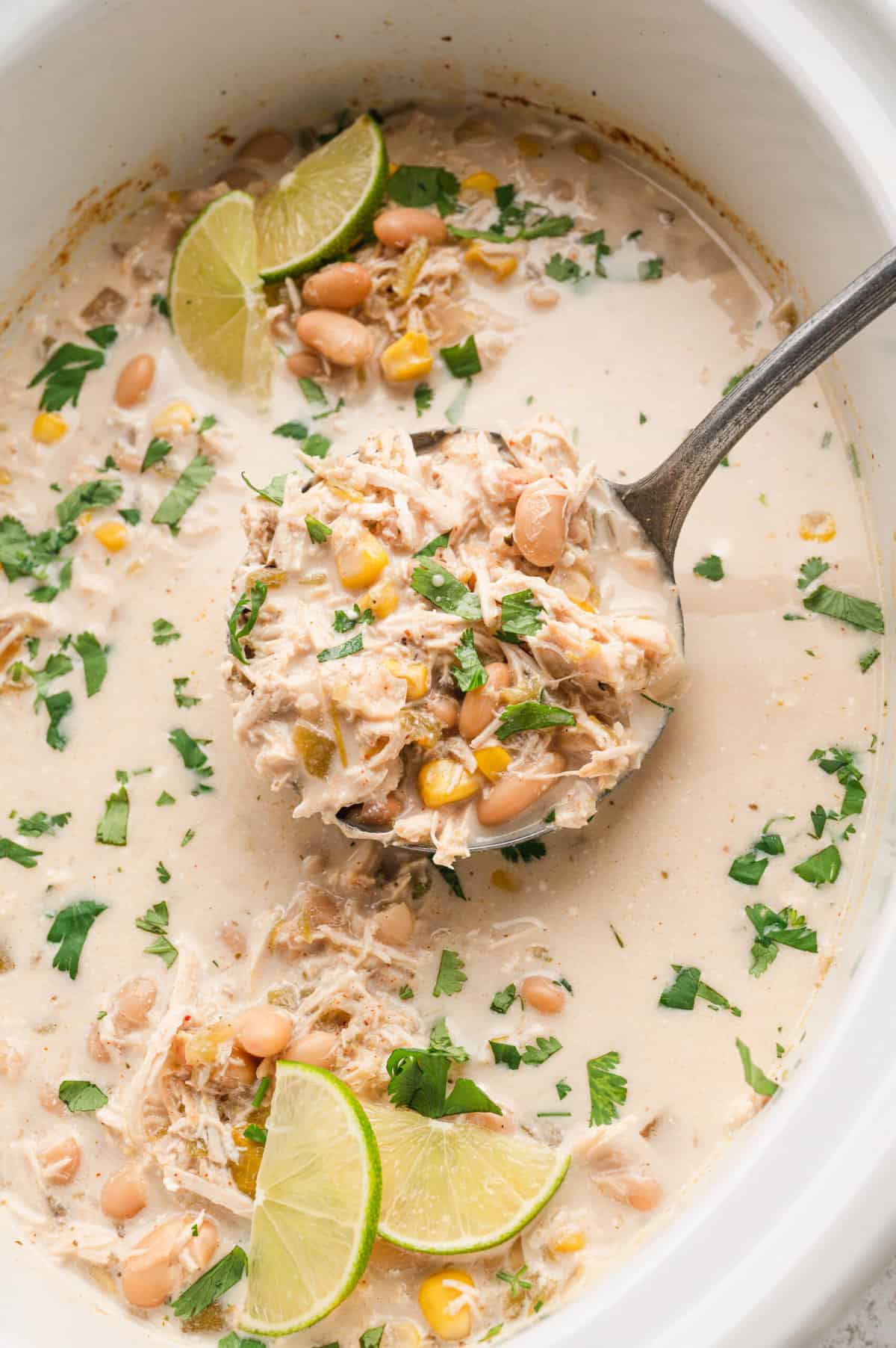 Crock Pot White Chicken Chili with Soup Laddle