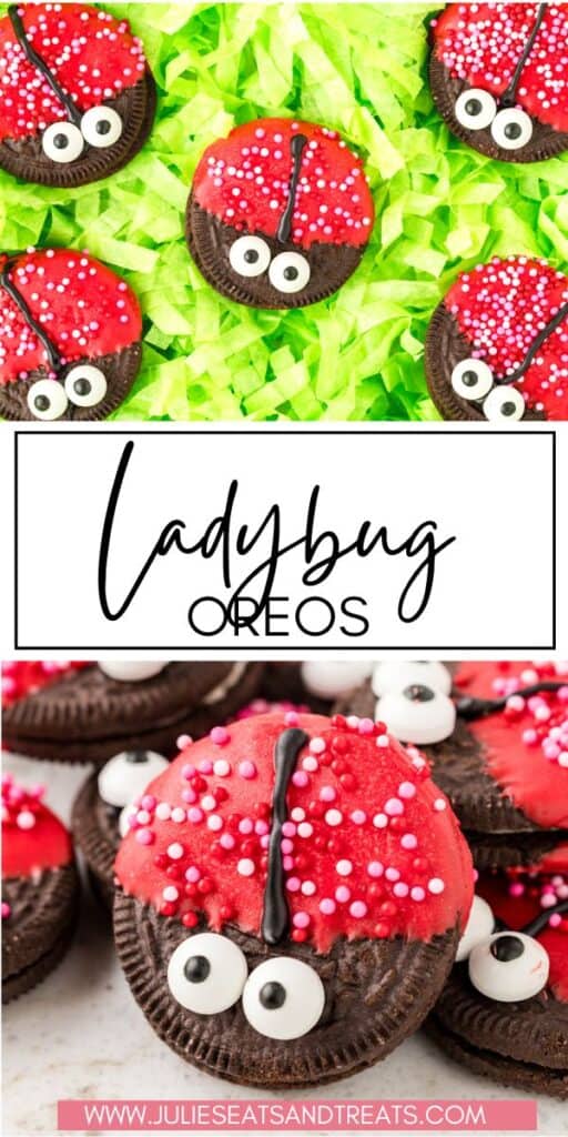 Ladybug Oreos JET Pinterest Image