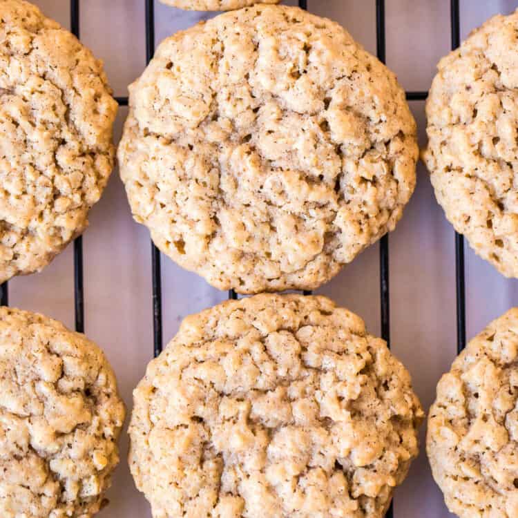 Oatmeal Cookies Square