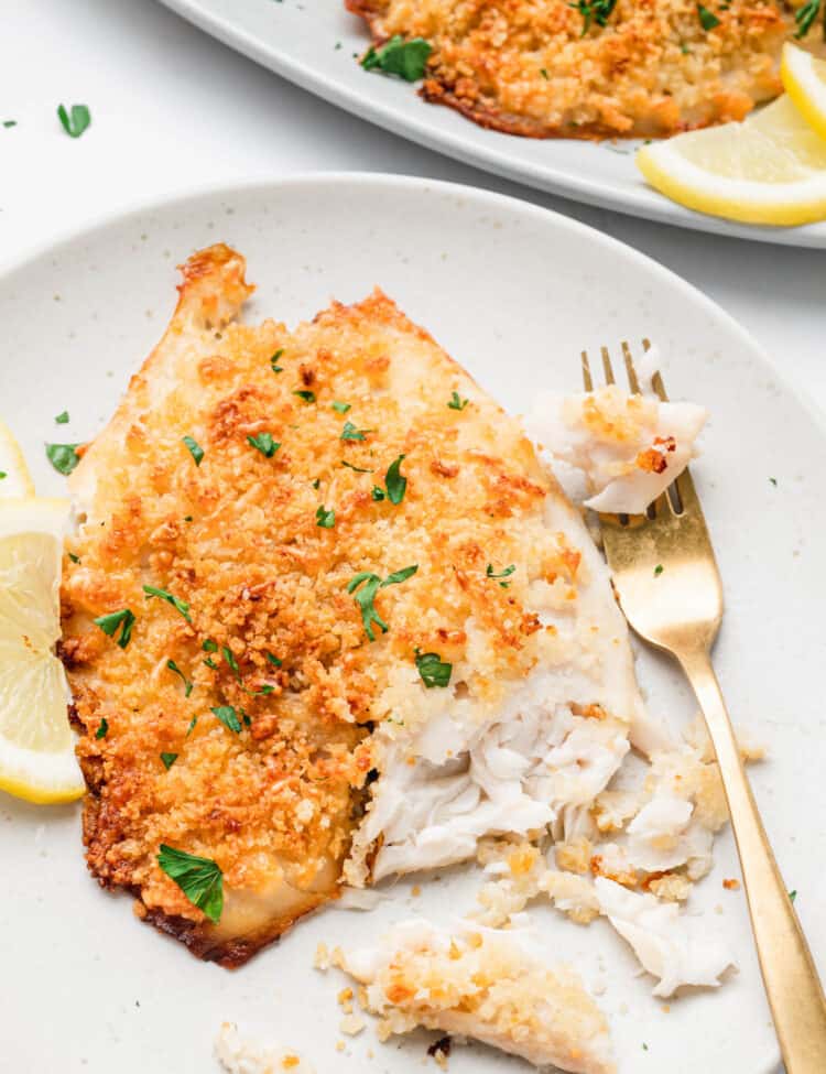 Parmesan Crusted Tilapia on plate with fork
