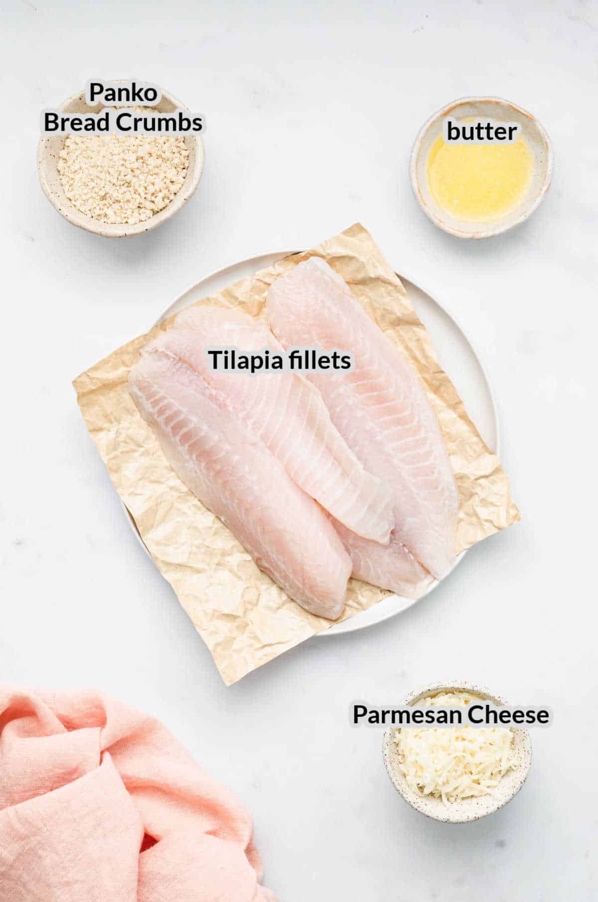 Overhead Image of Parmesan Crusted Tilapia Ingredients