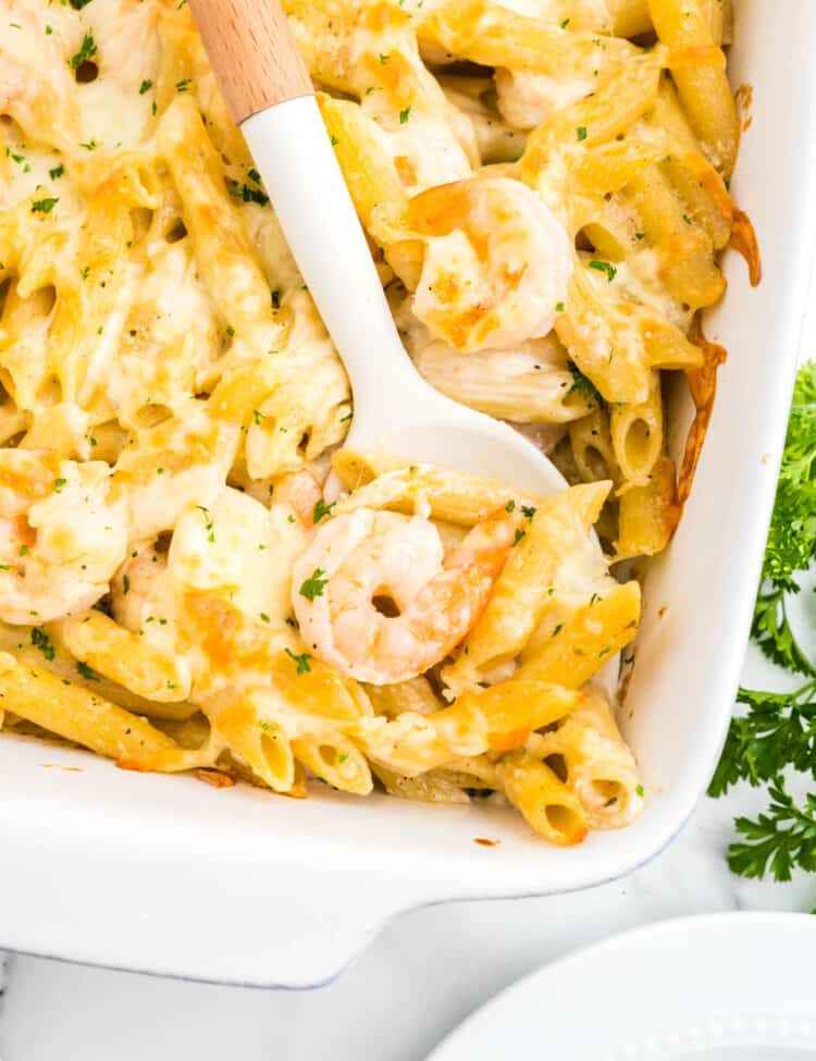 Shrimp Alfredo Bake in baking dish with scoop