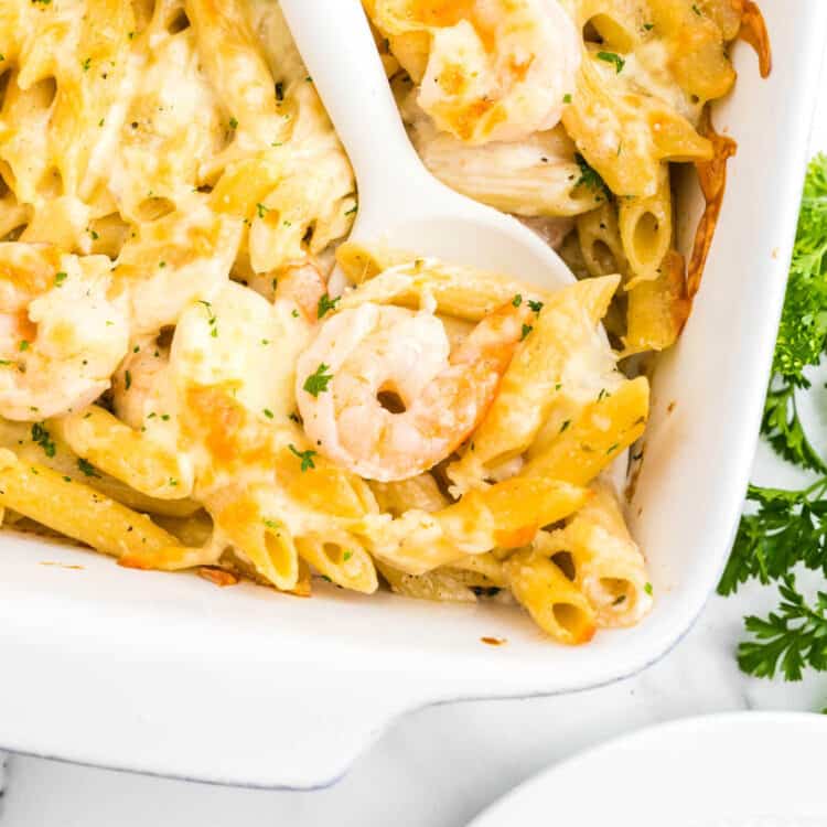 Closeup Image of Shrimp Alfredo Bake in baking dish