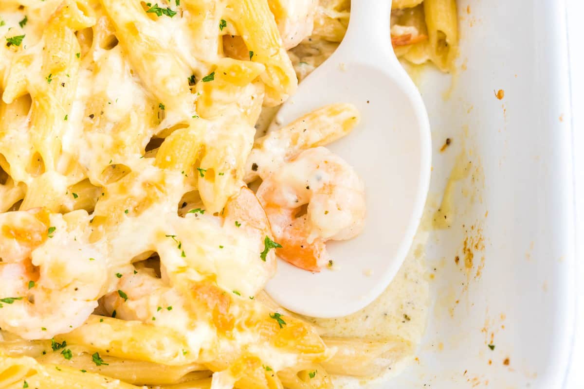 Closeup of Shrimp Alfredo Bake in baking dish with scoop dishing out a serving