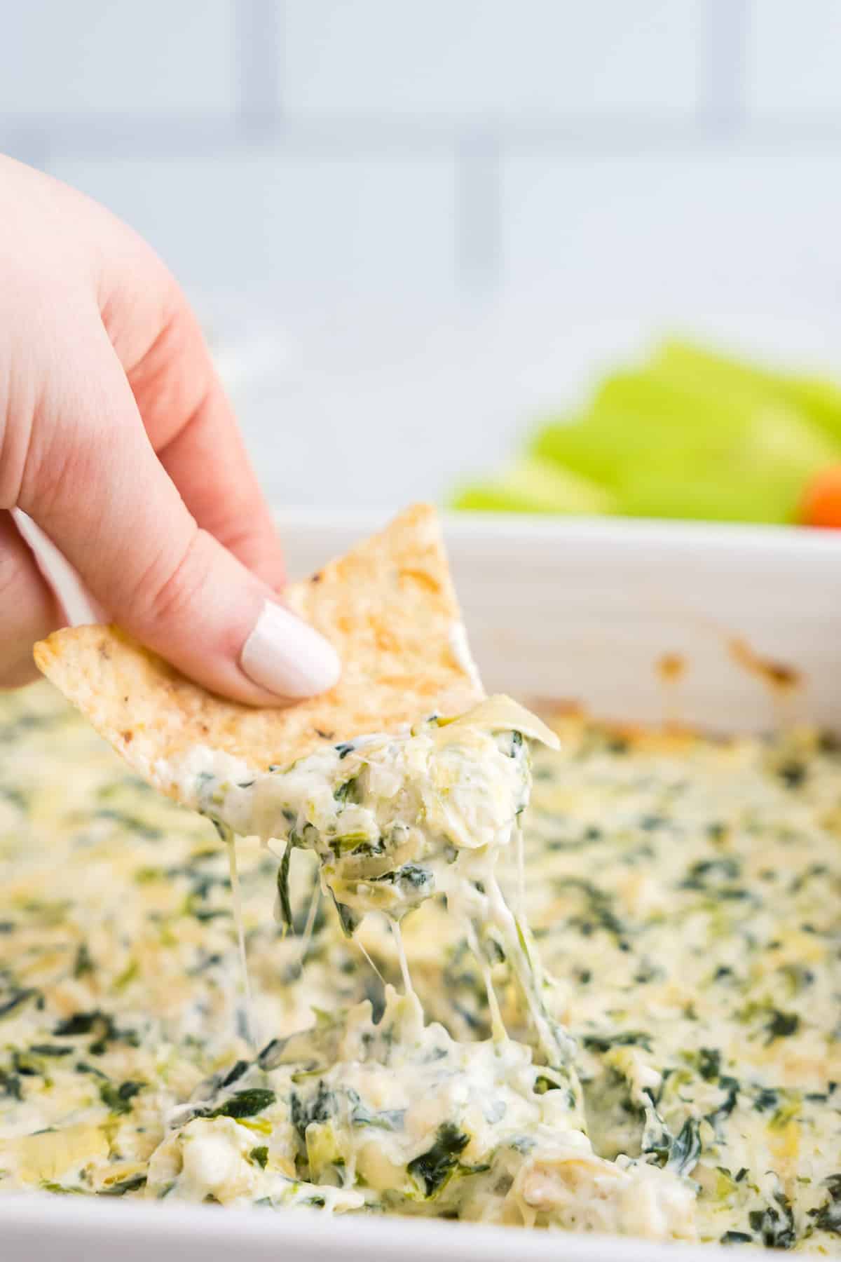 Using tortilla chip to scoop Spinach Artichoke Dip from baking dish