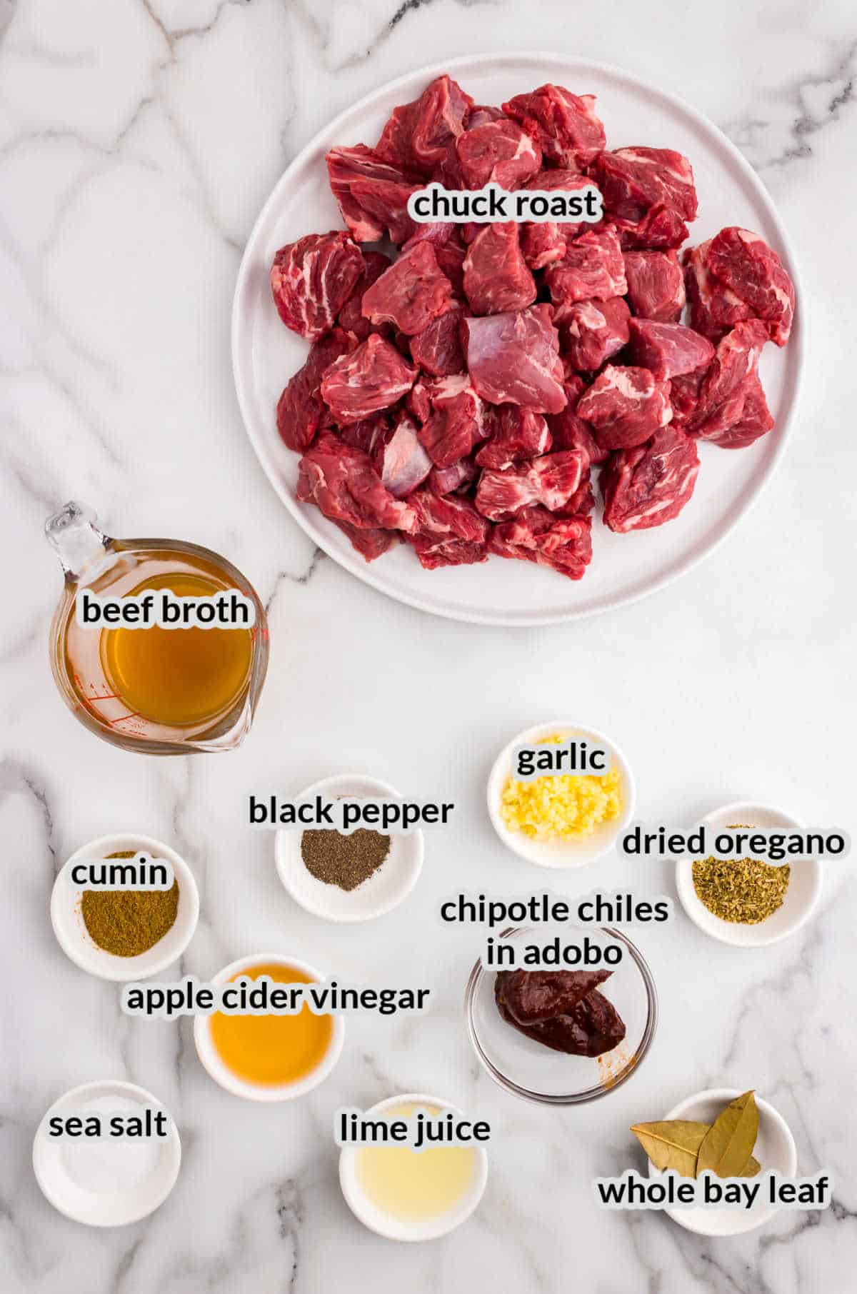 Overhead Image of Barbacoa Beef Ingredients