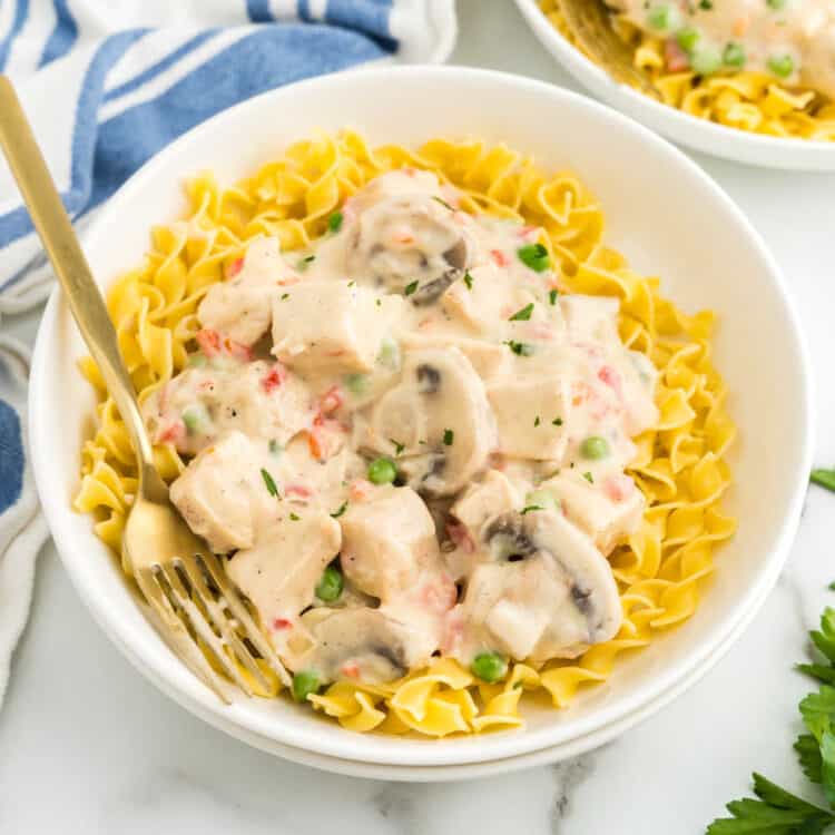 Chicken ala King over egg noodles in bowl