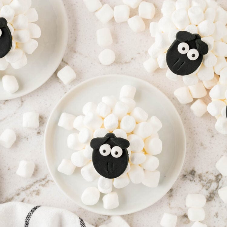 Overhead Image of Sheep Cupcakes Sitting on Plates with marshmallows all around.