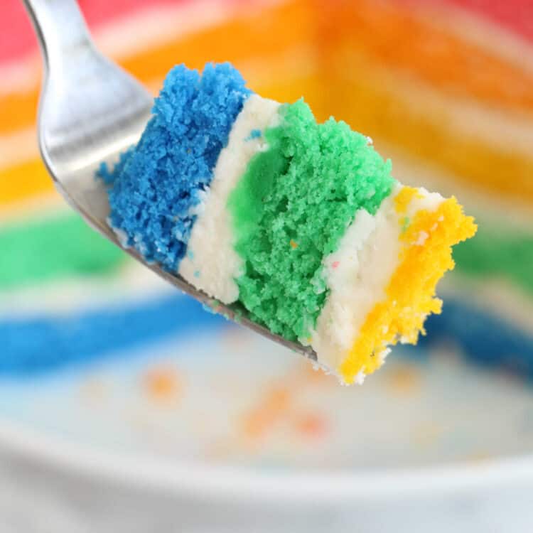 Rainbow Layer Cake JET Square Image