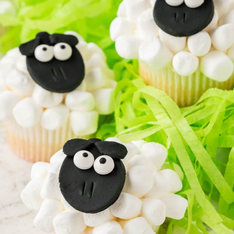 3 cupcakes with shredded green paper to make grass under the cupcakes.