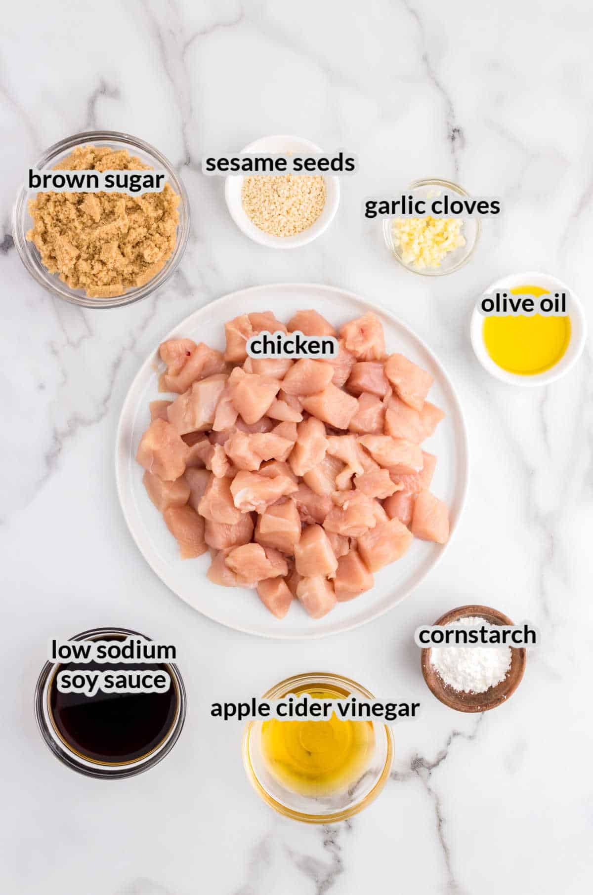 Overhead Image Teriyaki Chicken Ingredients