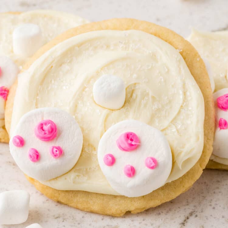 Close up photo of a completed bunny butt cookie.