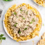 Hamubrger Stroganoff overhead shot on white plate with egg noodles