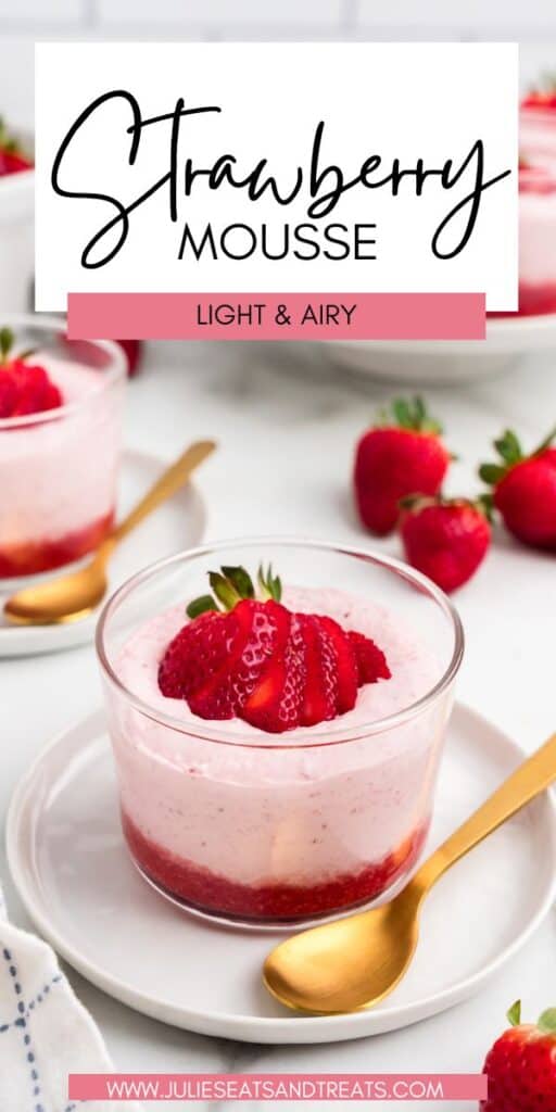 Strawberry Mousse JET Pin