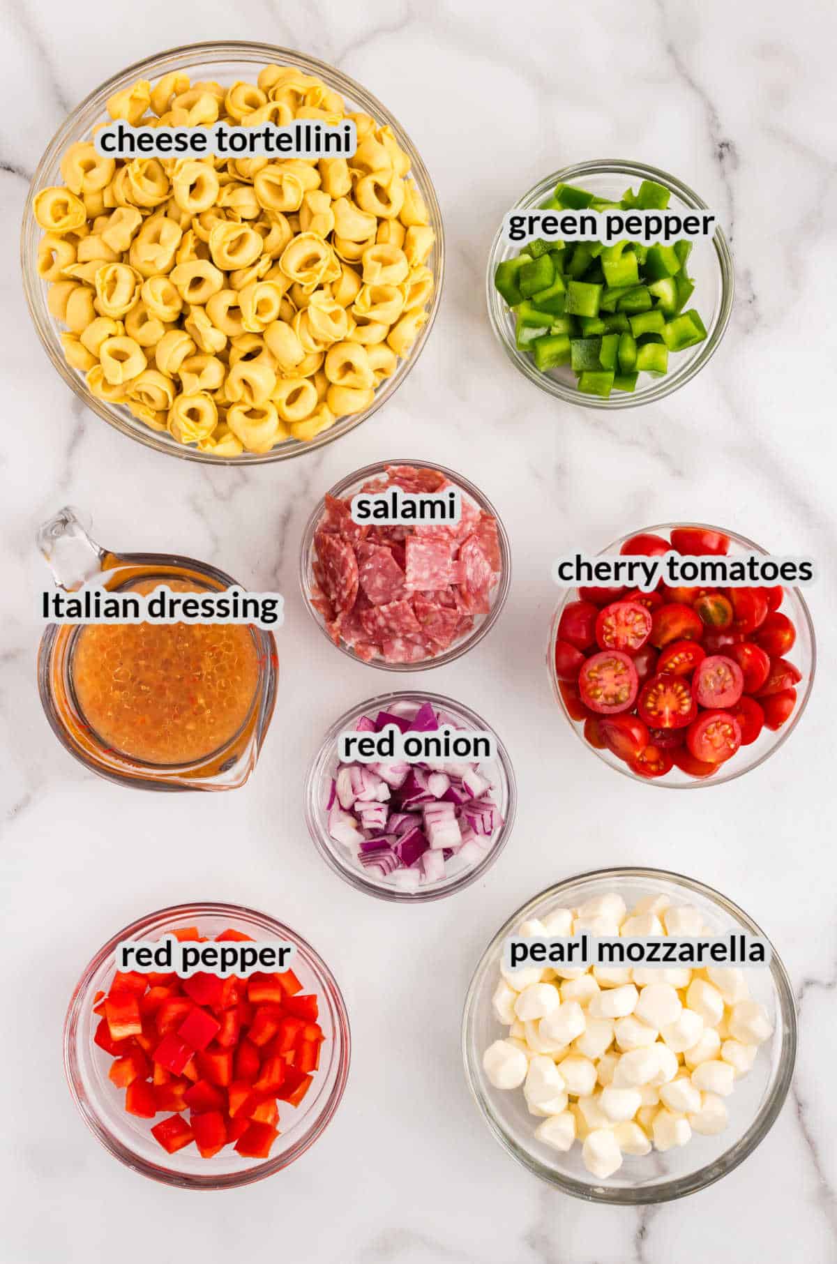 Overhead Image of Tortellini Pasta Salad Ingredients