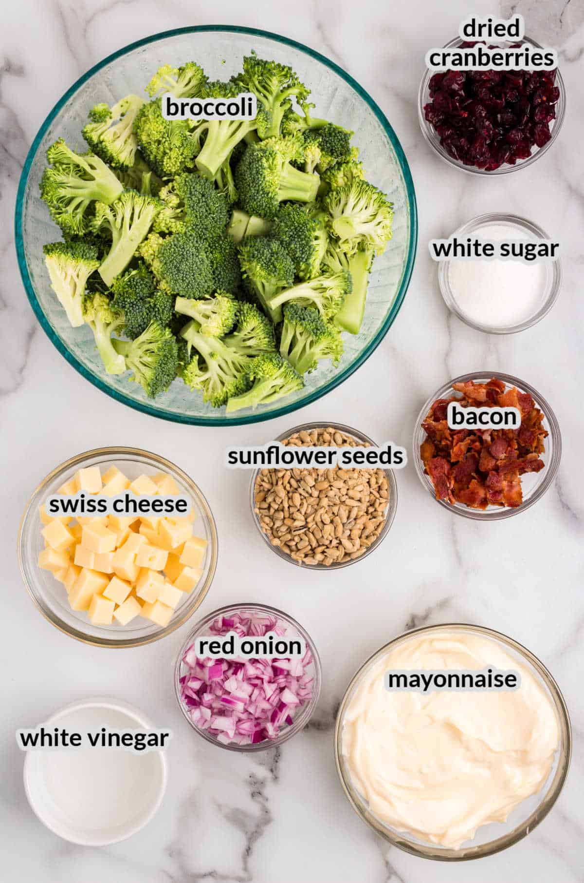 Overhead Image of Broccoli Salad Ingredients