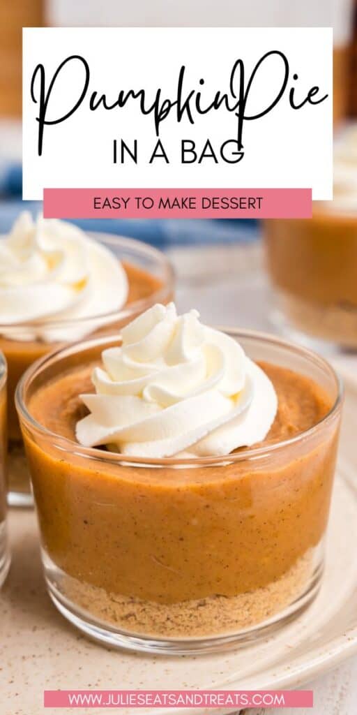 Pumpkin Pie in a Bag JET Pin
