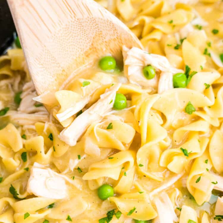 Crock Pot Chicken and Noodles Square cropped image