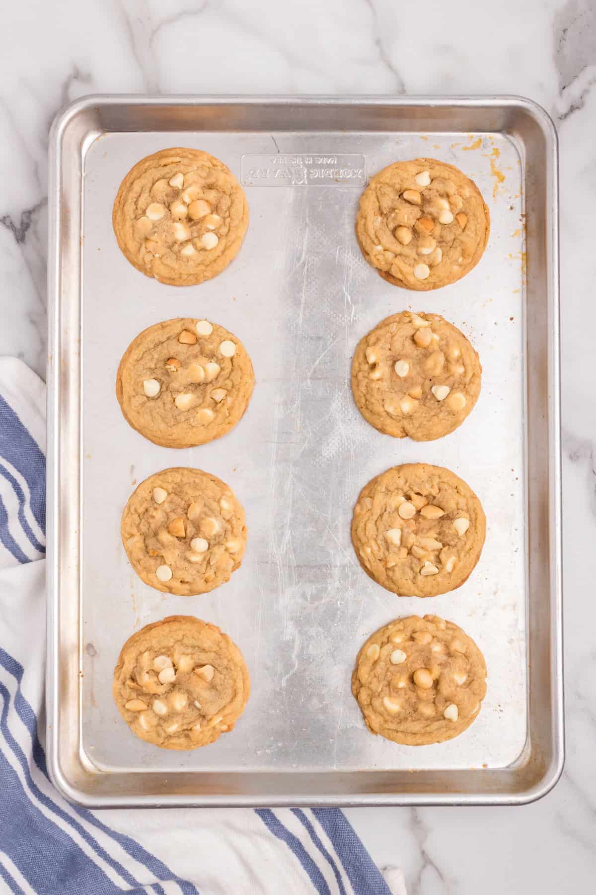 Macadamia Nut and White Chocolate Cookies hot out of the oven on cookie sheet
