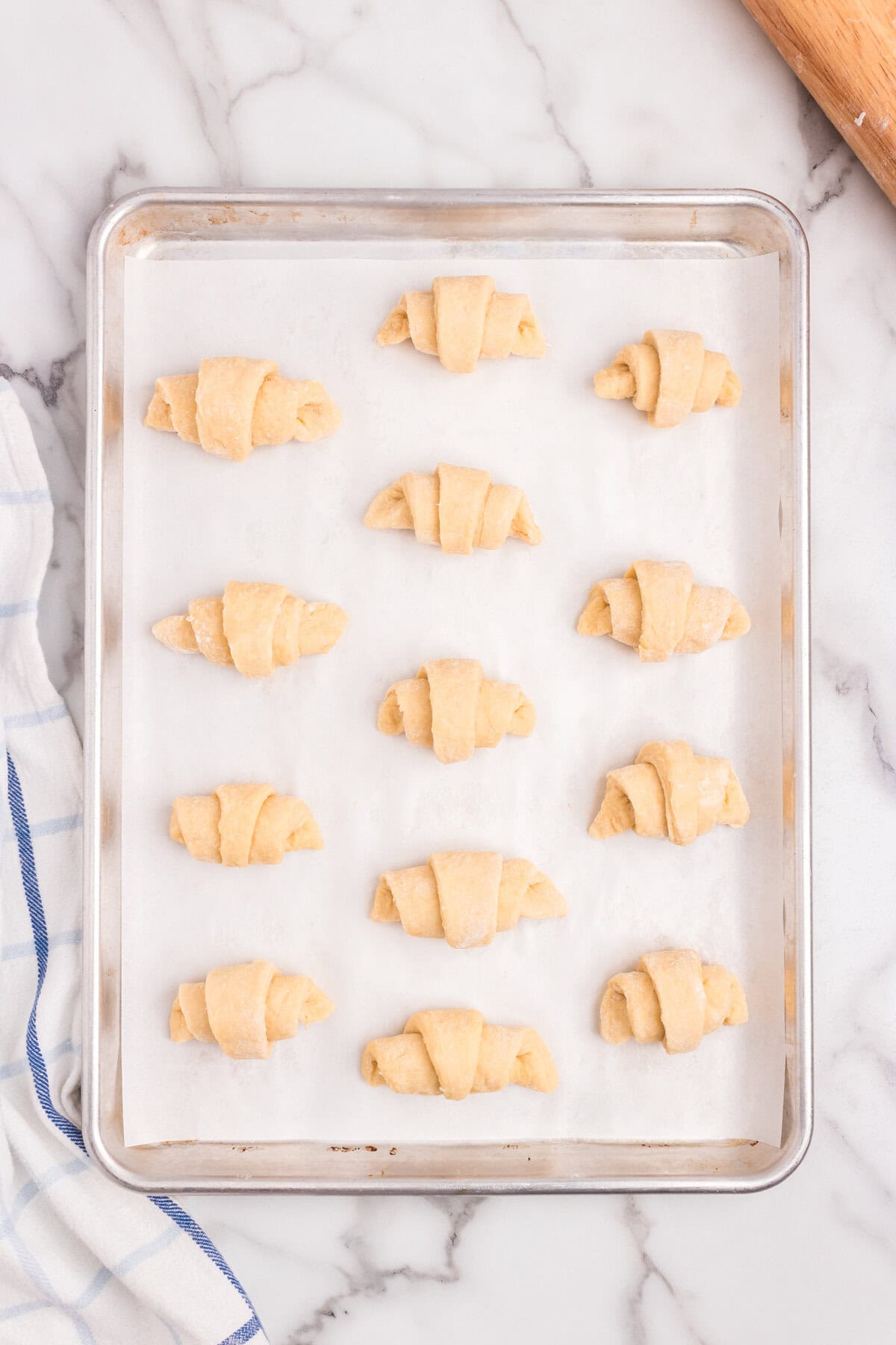 Rolled out Homemade Crescent Rolls dough loosely rolled arranged on parchment-lined sheet pan