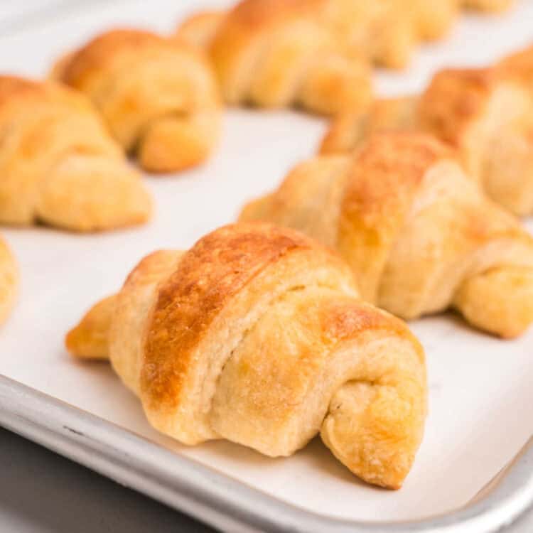 Homemade Crescent Rolls Square Image
