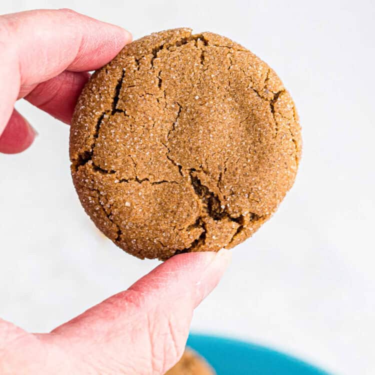 Hand holding Molasses cookie