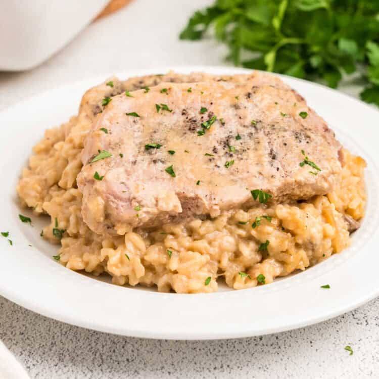 Closeup square image of Baked Pork Chops and Rice on plate