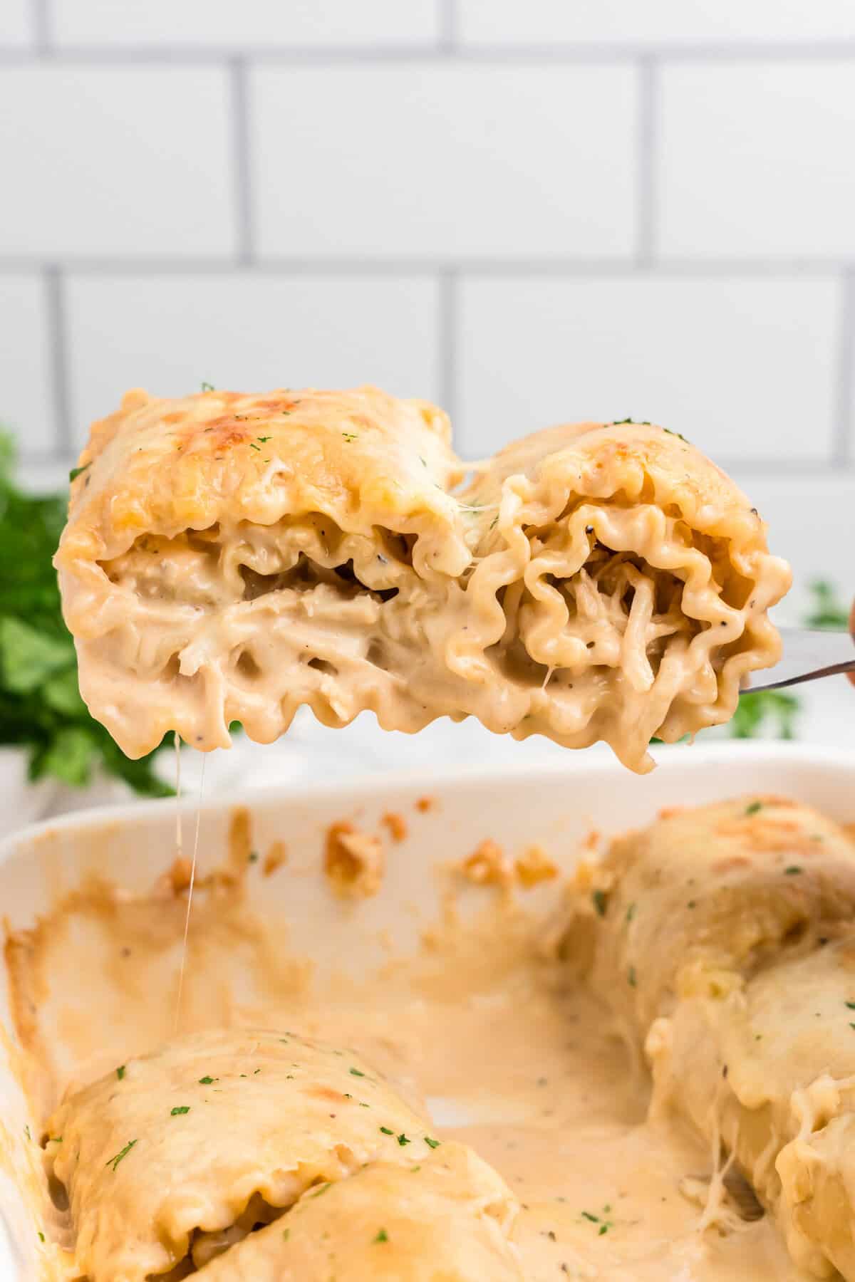 Chicken Alfredo Roll Ups side view on top of a spatula