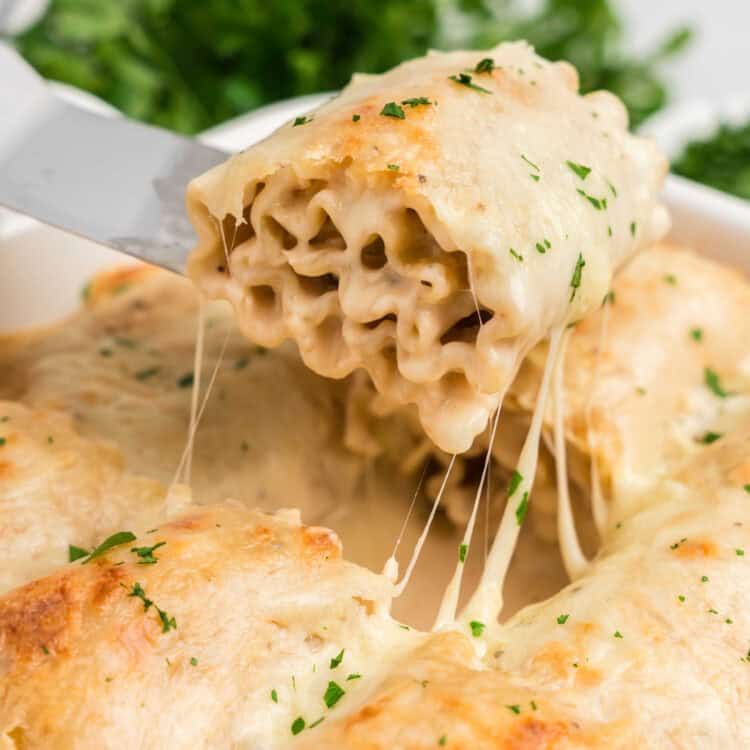 Chicken Alfredo Roll Ups square image