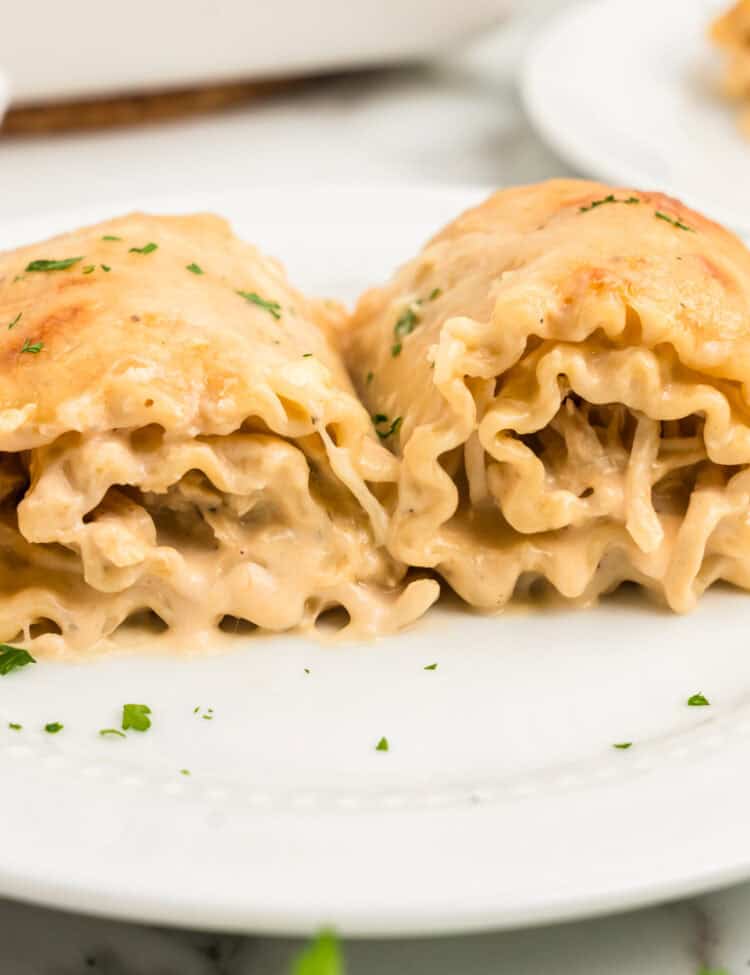 White Plate with two Chicken Alfredo Roll Ups on it.
