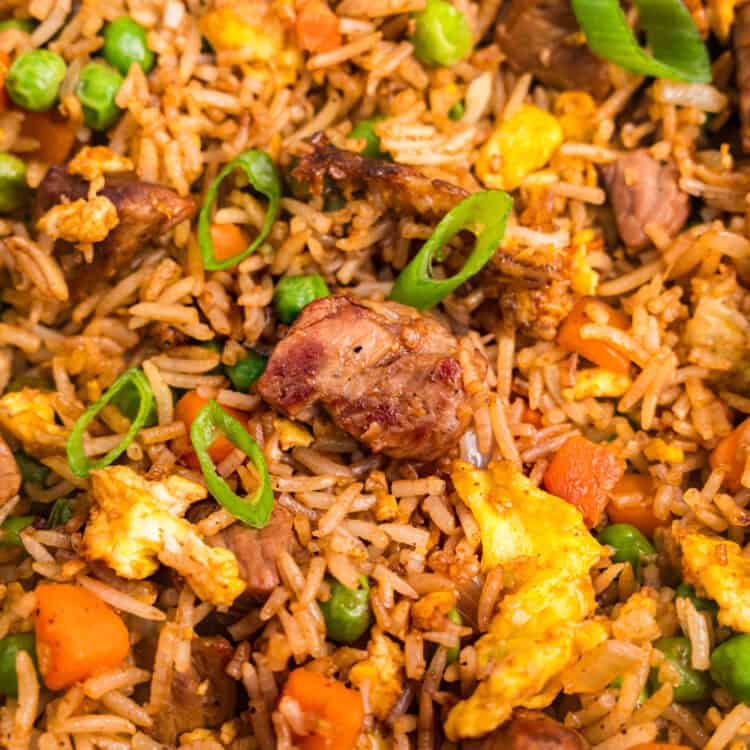 Close up picture of steak fried rice.
