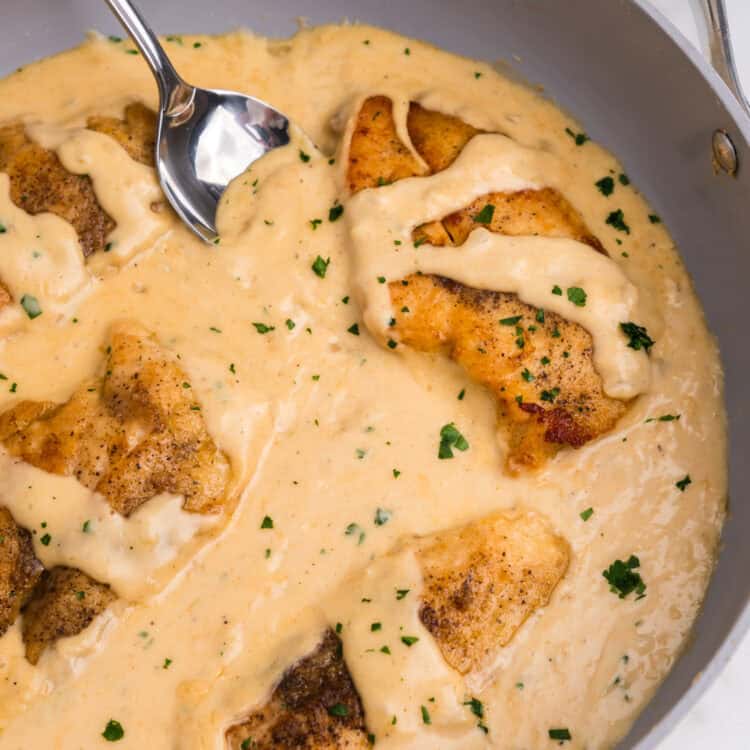 Overhead picture of completed smothered chicken.