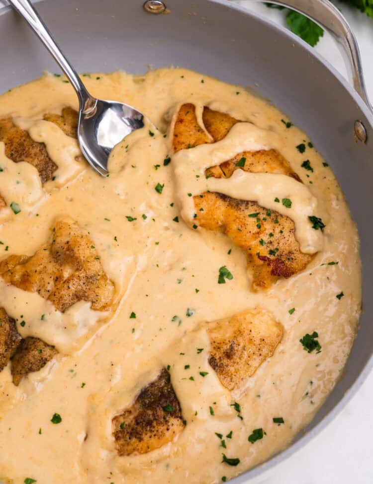 Overhead picture of completed smothered chicken.