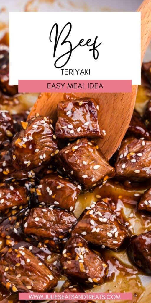 Beef Teriyaki JET Pin Image