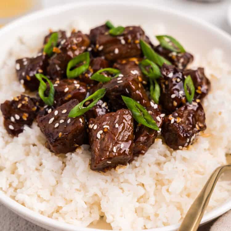 Beef Teriyaki Square Image