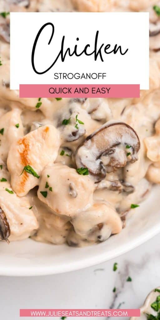 Chicken Stroganoff JET Pin Image
