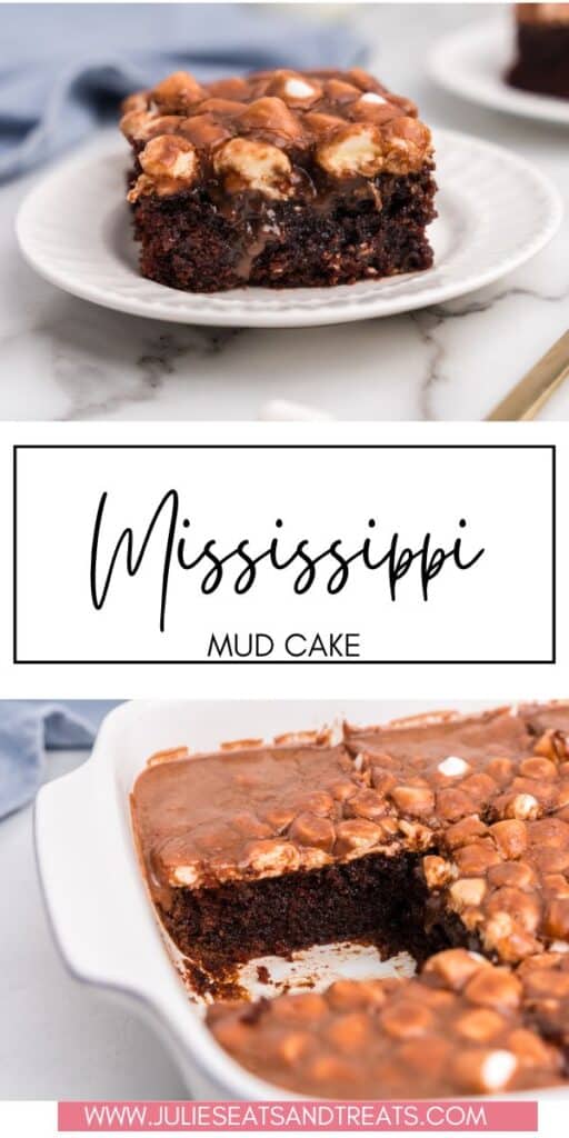 Mississippi Mud Cake JET Pinterest Image