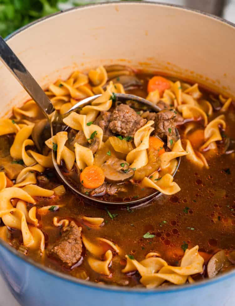 Close-up of beef noodle soup in a Dutch oven, highlighting the texture of egg noodles, beef chunks, sliced carrots, mushrooms, and a flavorful, glistening broth.