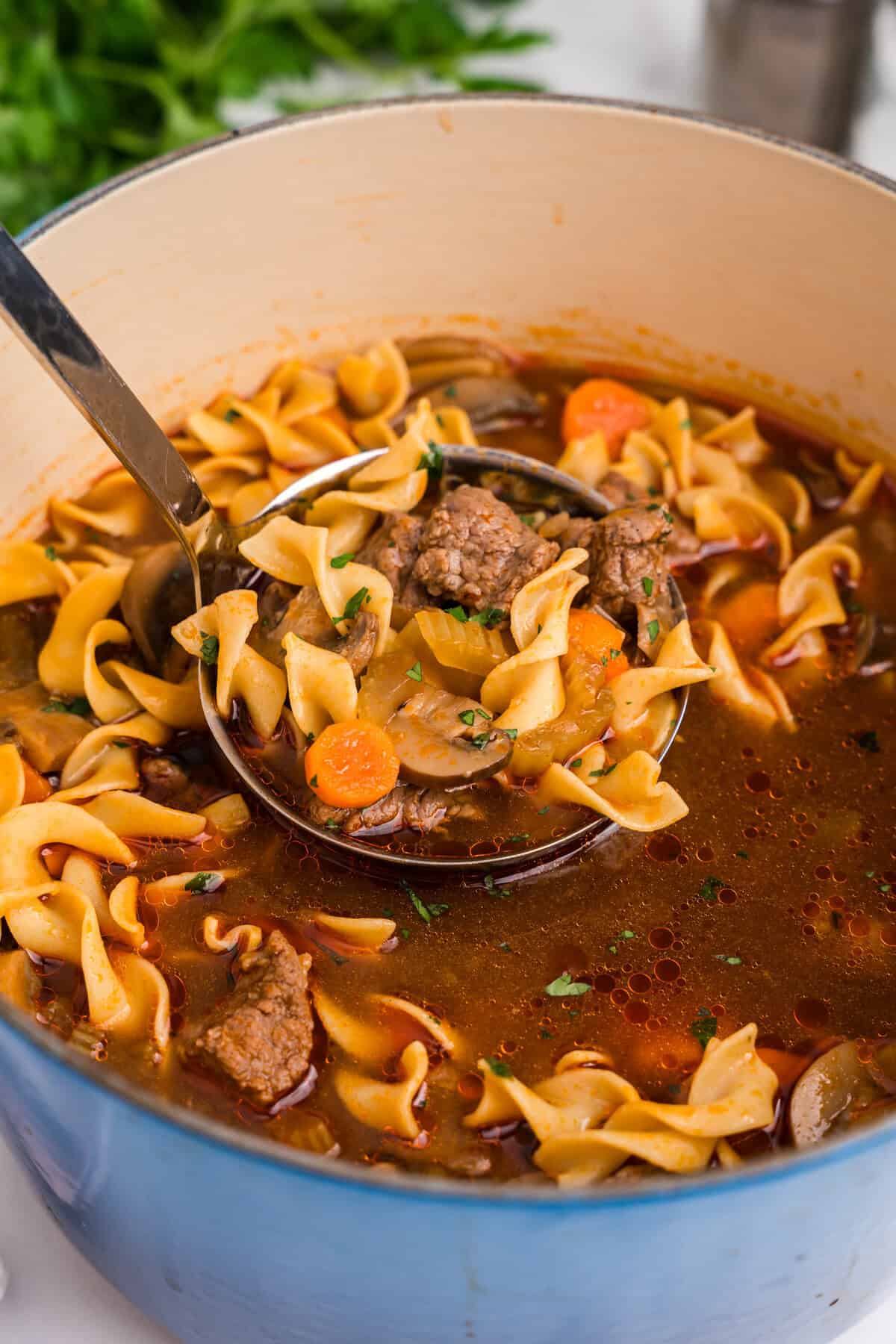 Close-up of beef noodle soup in a Dutch oven, highlighting the texture of egg noodles, beef chunks, sliced carrots, mushrooms, and a flavorful, glistening broth.