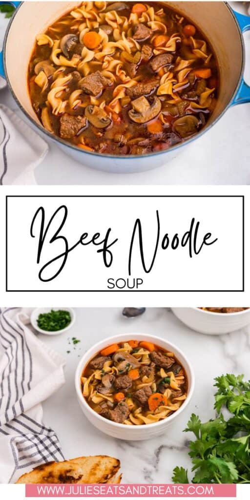 Beef Noodle Soup JET Pin Image