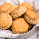 Homemade Biscuits Square Image