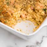 Lobster Mac and Cheese Square Image