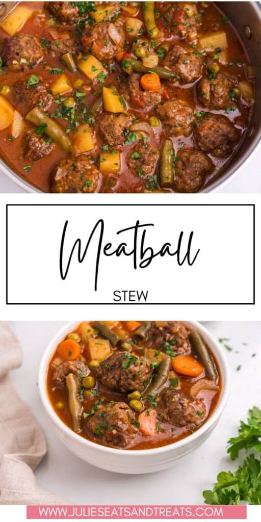 Meatball Stew JET Pin Image
