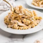 Crockpot Garlic Parmesan Chicken Pasta Square Image