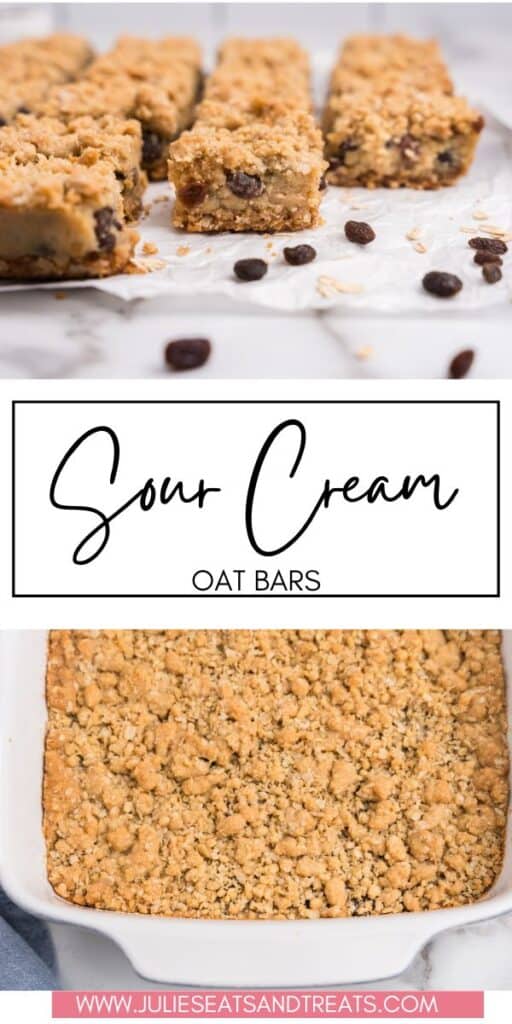 Sour Cream Raisin Bars JET Pin Image