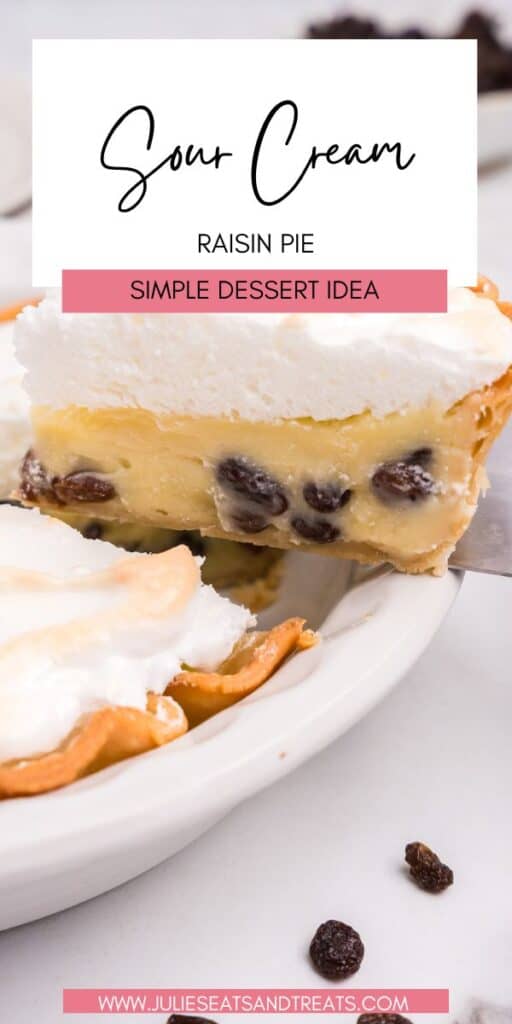 Sour Cream Raisin Pie JET Pin Image