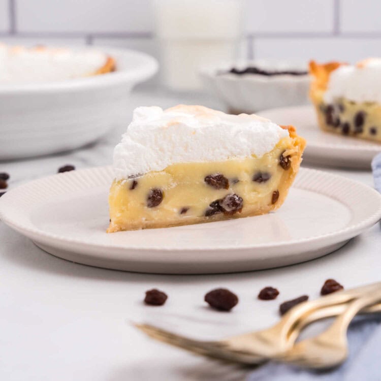 Sour Cream Raisin Pie Square Image